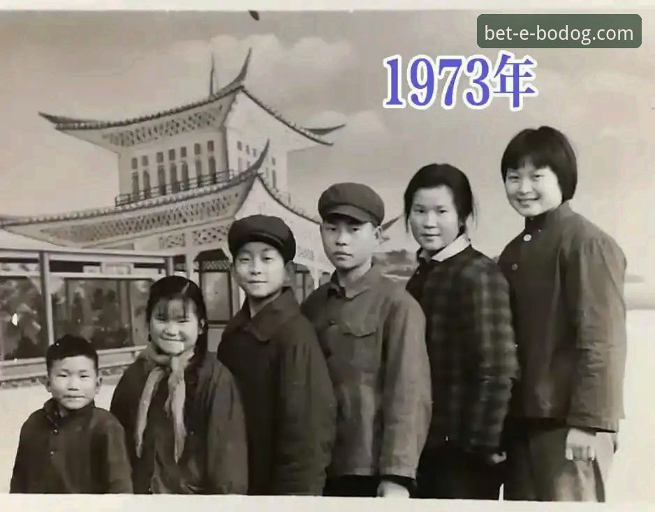 一场跨越52年的等待：博狗网官方平台深度解析民主刚果世界杯晋级之路