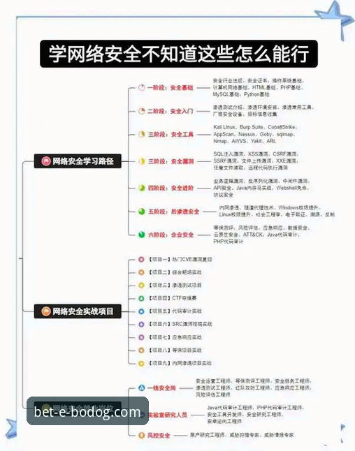 博狗网官方平台APP登录问题全面解析：从下载到安全登录的一站式实战指南